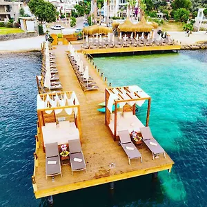 4* Hotel Bella &